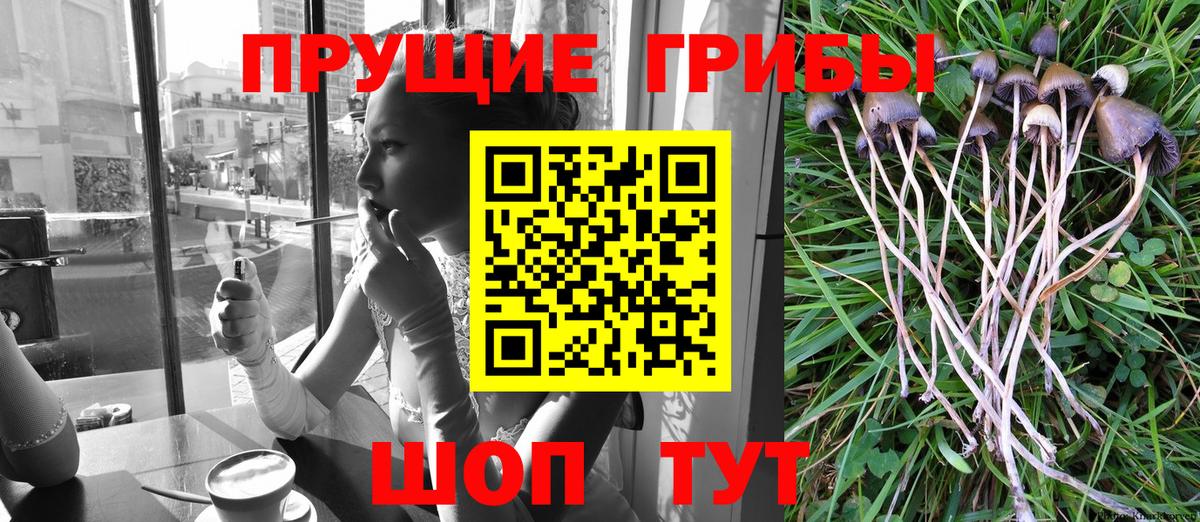 Галлюциногенные грибы мухоморы  Вход с VPN  Псилоцибиновые грибы Cubensis  Реж 